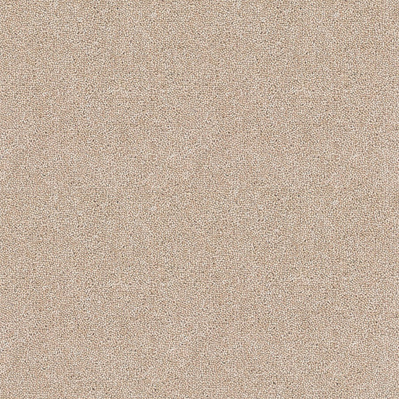 Brockway Carpets Dimensions Plain 40oz Twist Dark Tusk DIM4 0024 At